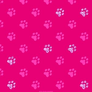 Meet your Posher, Raquel